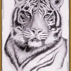 Tamil Olli India